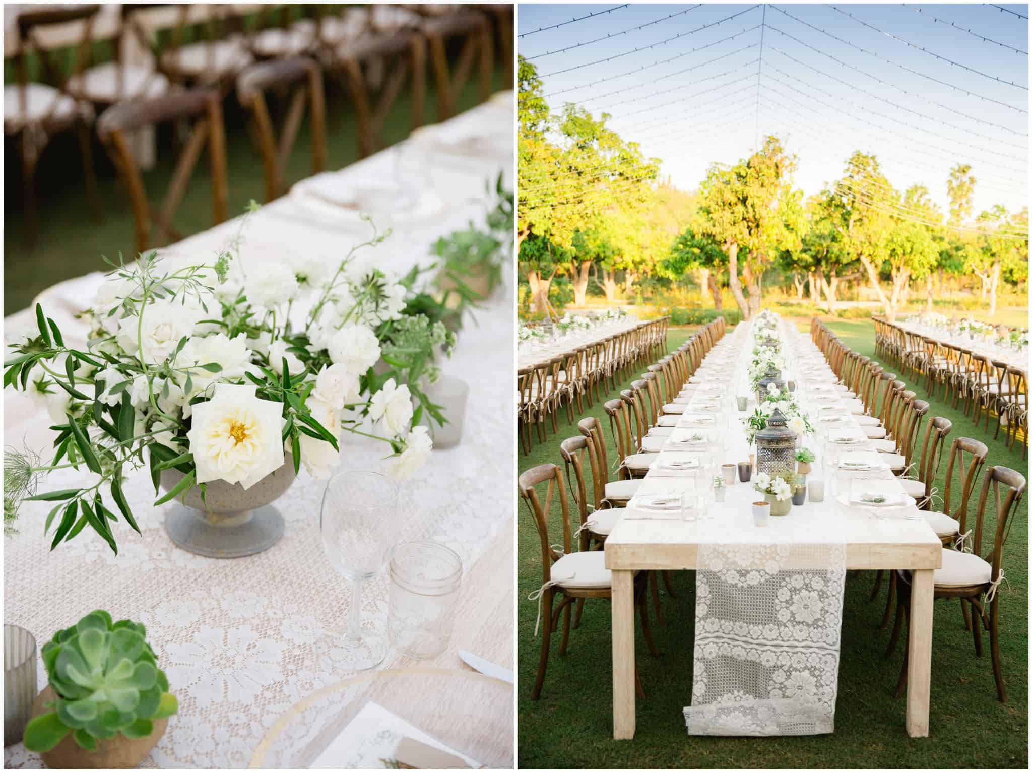 Cabo Photographer - Sara Richardson_3082